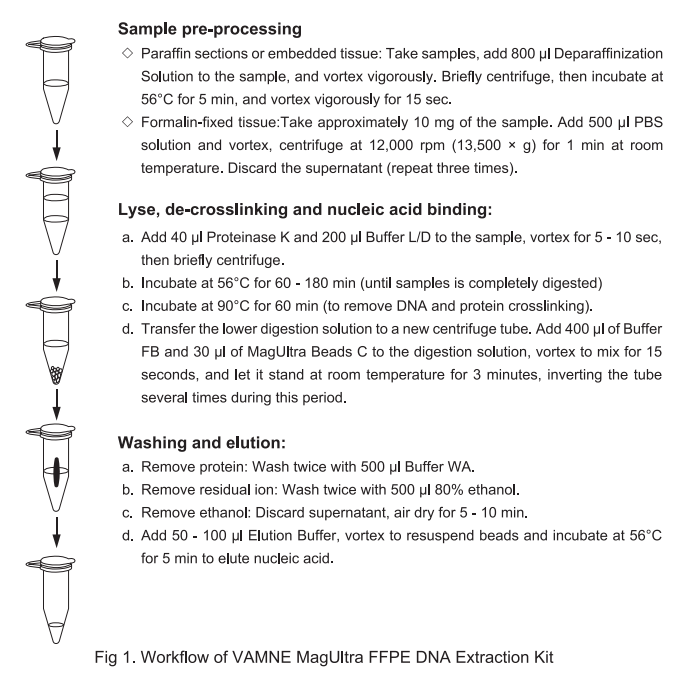 FFPE Tissue Kit workflow FFPE Tissue Kit workflow