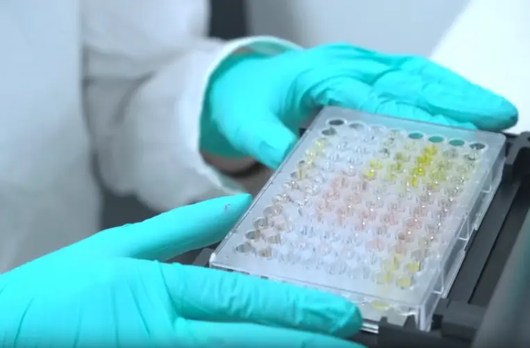 Human GDNF ELISA Kit