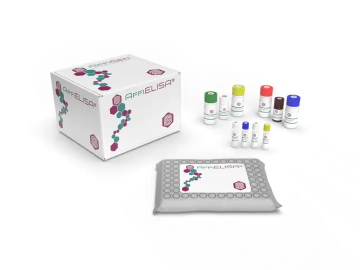 Bovine Pulmonary surfactant- associated protein C, SP- C ELISA Kit - 96tests