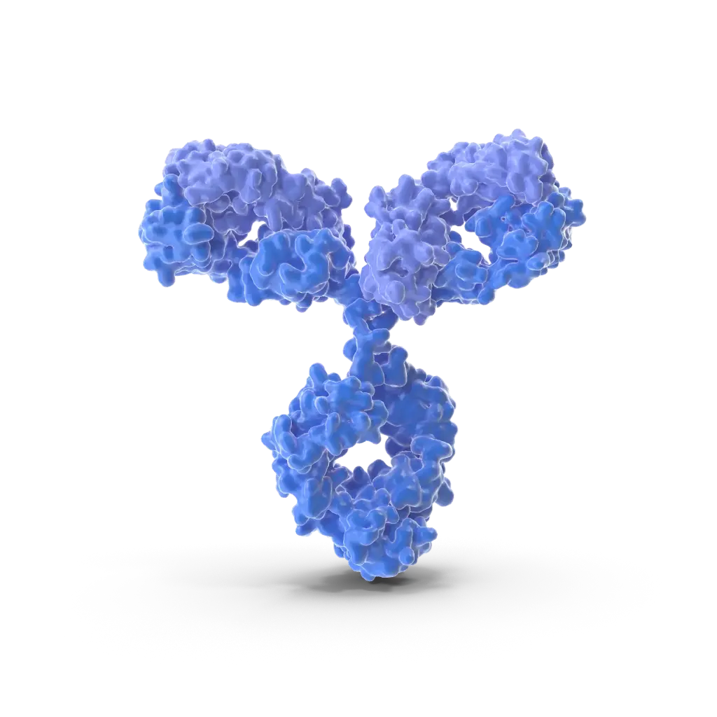 NOS1 Antibody - 100µg