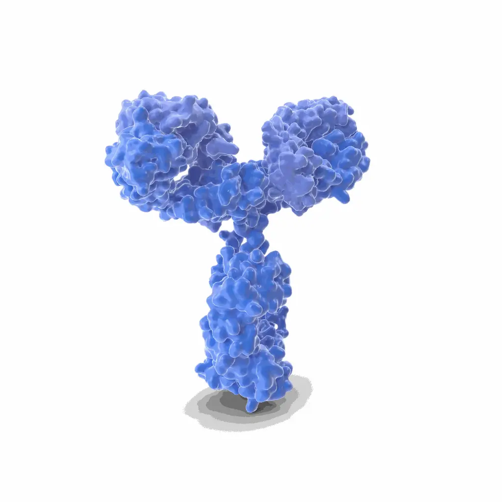 PODN Antibody - 100µg