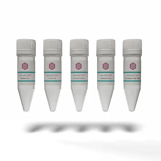 [AS-GEN-03] MycoDect™ Mycoplasma Detection Kit  -  1 Kit