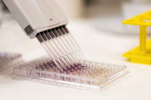 [TP391] AmpliStar-II 8-Strip 0.2ml Assorted Color PCR Tubes, Attached Optical Flat Caps - 10x120