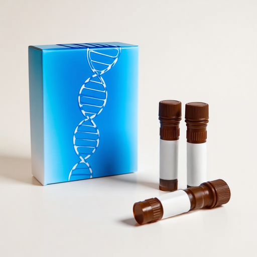 Cy3; 5' Modification-1 µmol