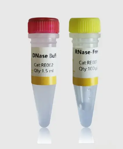 [GP708] RNase A(100 mg/mL)