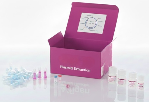 [GA037] Plasmid Maxiprep 1 mg – Transfection Grade
