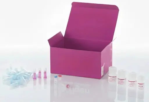 [GA042] Plasmid Gigaprep 10 mg – Transfection Grade