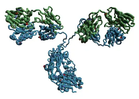[BMA1038-sf] Monoclonal Anti- Synaptophysin antibody