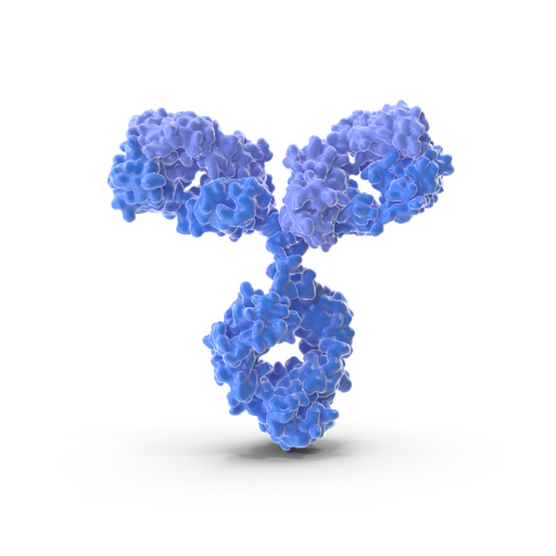 [BF0012] PPY antibody - 100µg