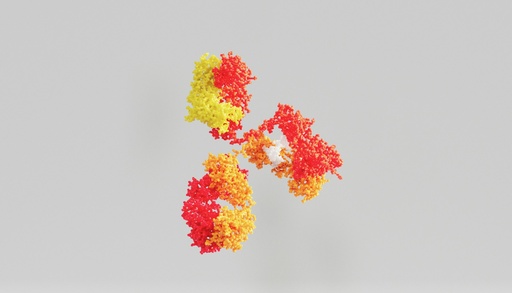[BF0412] p44/42 MAPK  (Erk1/2)  antibody