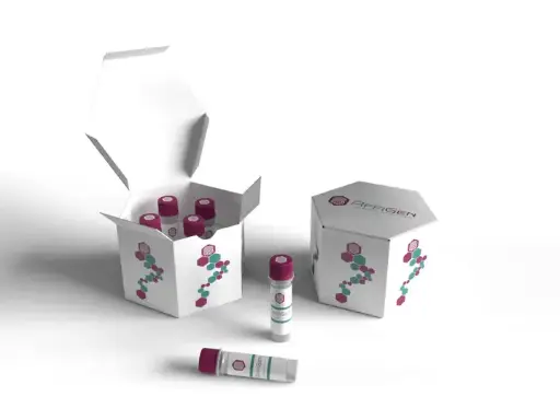 [EF007288] Mycoplasma ELISA KIT|Human  - 96tests